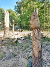 Chainsaw Carver’s carve 7 trees for home owners front yard