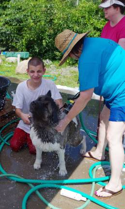 DOGS volunteer Eddie Ed Hastrup, 14, gets a surprise shower when an Akita decides it&#xfe;&#xc4;&#xf4;s time to shake off all the soapy water.