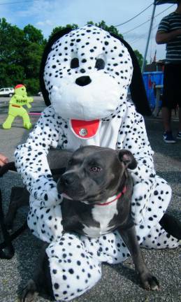Dippy the Dalmatian cuddles up with Goofy, a deaf pitbull that was rescued by Safe and Sound two months ago.