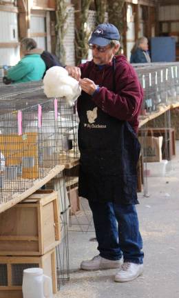Poultry Fanciers Association holds fall show Checking feathers before the judging at the Sussex County Poultry Fanciers Fall Show.