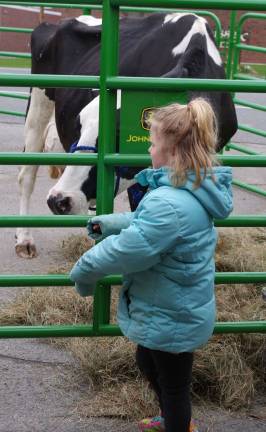 A young girl learns about dairy cows up &quot;close and personal.&quot;