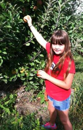 Photo by Deb Popeck Fourth-grader Emily Popeck picks apples at Pennings farm in Warwick, N.Y.