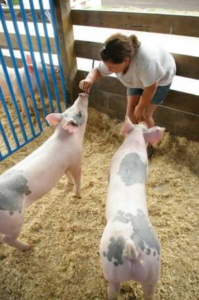 Can you speak swine? Can you speak swine?