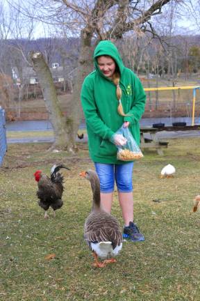 Saera Walsh of Wantage feeds the ducks while braving the cold during the opening day of Space Farms and Zoo on Saturday.