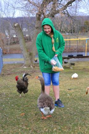 Space Farms opens for season Saera Walsh of Wantage feeds the ducks while braving the cold during the opening day of Space Farms and Zoo on Saturday.