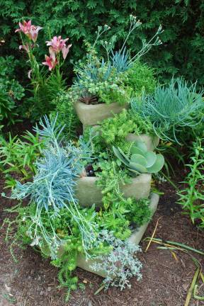 Melinda Myers, LLC Succulents stacked in troughs or pots can create a desert type feel in the landscape.