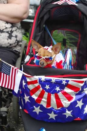 Vernon firefighter Guy Kovalcik brought his Chihuahua Daisy Lou to the parade in patriotic fashion.