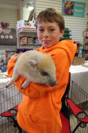 Wantage resident Liam Leech, 11, brought his micro pig to the grand reopening of Farmside Supplies on Saturday, so that visitors could pet him and learn more about the breed.
