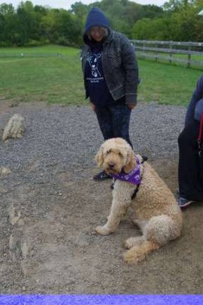 Mary Beth Stolzenberg of Glenwood is shown with her golden doodle Isabelle. The dog is a survivor of mass cell cancer.
