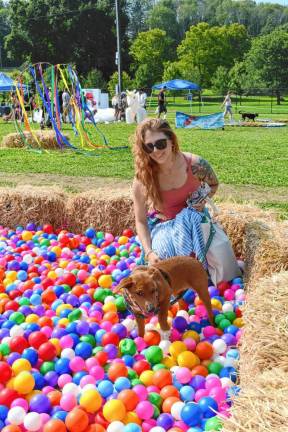 Photos: Pupstock Festival 2024 <b>Kathy Redcliffe of Milford, Pa., and Munchkin play in the Giant Ball Pit at the Pupstock Festival on Saturday, Aug. 24 at the Sussex County Fairgrounds. (Photos by Maria Kovic)</b>