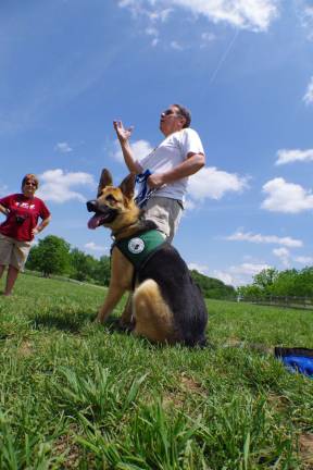 Former Vernon Township School Superintendent Tony Macerino of Barry Lakes wih his seeing eye dog &quot;Jim.&quot;