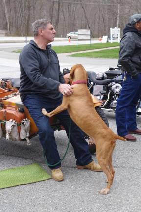 Mister Cisco, a 9-year old Hungarian Vizsla came with his owner Bill Johanns of Highland Lakes. Once the weather warms, the two are a common sight riding around town on Johanns&#xed; 2006 Ural Russian military motorcycle.