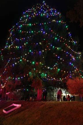 Wantage holds tree lighting The Wantage Christmas tree after it is list.