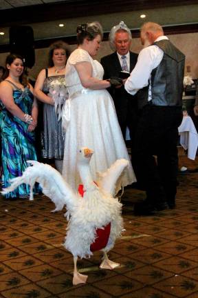 From the minute Paul Kreczkowski of Wantage showed his fiancee Vivian a picture of Oliver the Goose she knew she wanted him in their wedding. On Mother's Day Sunday the Kreczkowski's tied the knot at the Hampton diner. Oliver had no problem walking the rings down the isle to the couple as their guests watched. When time came to exchange the rings, Oliver broke out into a happy dance to help the couple celebrate.