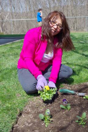 Volunteers beautify PAL building Photos by Chris Wyman Naomi Furrey of the Vernon PAL plants pansies donated by Heaven Hill Farm.