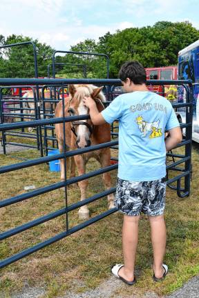 Photos: Wantage Day <b>A boy pets a horse on display at Wantage Day on Saturday, Aug. 16 at Woodbourne Park.</b>