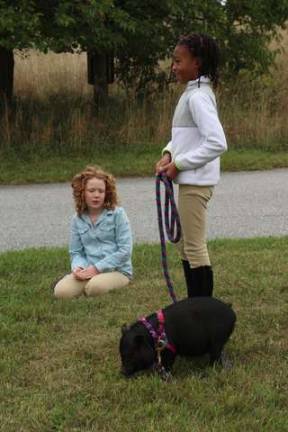 Ruby Mac Heathman and Sahai John of Montclaire walk Rosie the pig at the North West Jersey Horse Show.