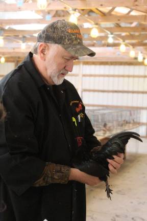 Poultry Fanciers Association holds fall show Daniel Dysart of Woodstock, Va. judges at the fall poultry show on Saturday.