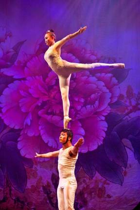 Tango and Arcobats to perform Photo credit Amitava Sarkar Golden Dragons.