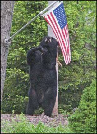 Respecting the flag Respecting the flag