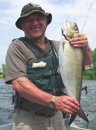 Ben Kuhn with an American shad (Photo: Pennsylvania Fish and Boat Commission: (fishandboat.com)