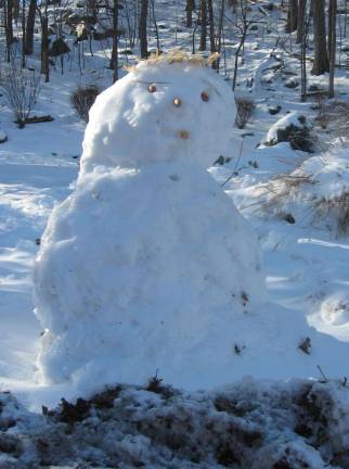 Snowmen were popping up throughout the area as children and adults creatively constructed the near foot of snow into winter people. This snow person was spotted in Highland Lakes and had spiky, golden hair.