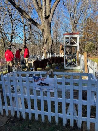 Appalachian Animal Experience brought a petting zoo.