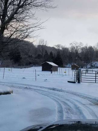Winter Storm Harper ices county Diane Romano, a volunteer at Rivers Edge Horse Rescue & Sanctuary, in Newton, photographed the beauty of the pasture. All of the horses for which the sanctuary cares were safe from the cold in the barns.