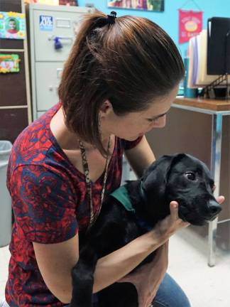 Seeing-Eye Dog working at Cedar Mountain Cedar Mountain Primary School Counselor Nicole Keane helps Rusty calm down.