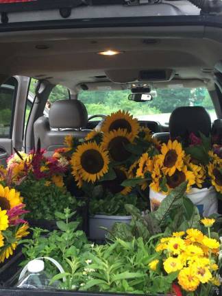 Shawna Bengivenni, owner of As Fresh as it Gets Garden, loads her truck each week to transport her vegetables, herbs and flowers to the Sparta Farmers Market.
