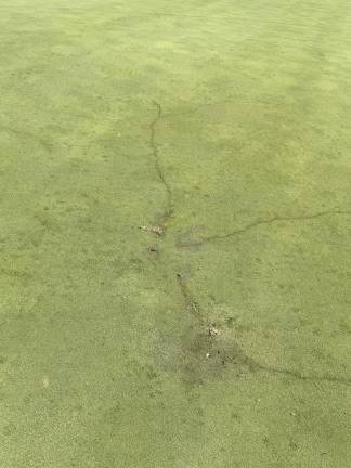 Golfer struck by lightning The spot where lightning struck a golfer on the 15th hole.