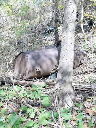 Vernon completes debris cleanup