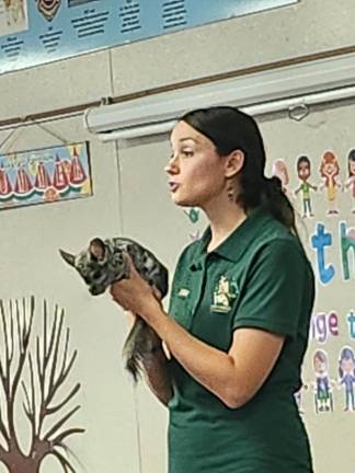 Kim Diez of Eyes of the Wild holds a chinchilla from the Andes Mountains in South America.