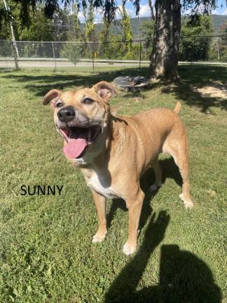 Meet Sunny Meet Sunny