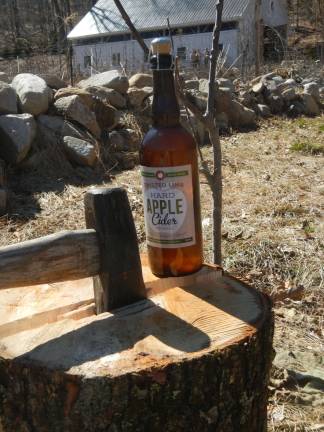 Photos by Evelyn Willard A bottle of Twisted Limb Hard Cider in front of a planted apple sapling.