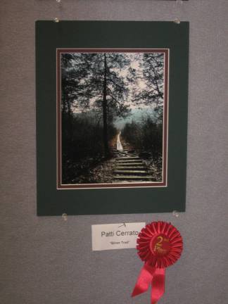 Silver Trail by Patti Cerrato received a second place ribbon.