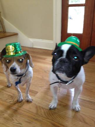 Nicole Rizzolo of Andover, N.J. &quot;Do we smell leprechauns? Augie and LuLu O'Neill.&quot;