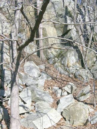 Rock formations in the park remind us of the prehistoric times.
