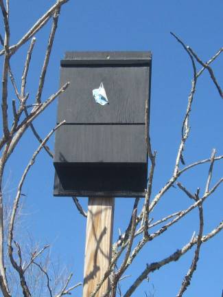 Appropriate for Earth Day, were the placing of bat houses to help repopulate the area's dwindling bat population. Bat houses were constructed by Patrick Walsh of Troop 146 in Hewitt as an Eagle Scout project.
