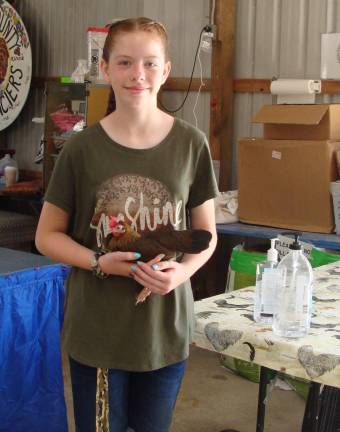 4-H member Gracie Bucher of Stewartsville introduces her Bantam friend Harley to fair crowds.