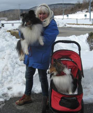 Gail Taddeo of Vernon and her shelties Pharrell and Rhonda brave the cold and snow to get in their morning walk.
