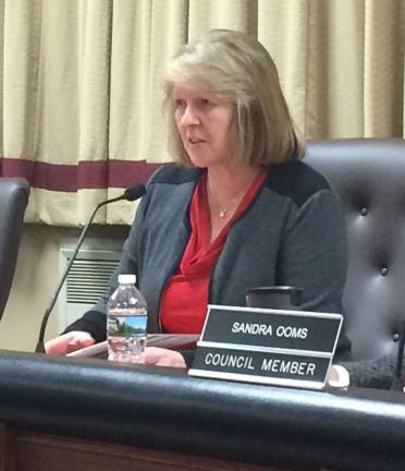 Photo by Diana Goovaerts New Vernon Township Council President Jean Murphy addresses the public.