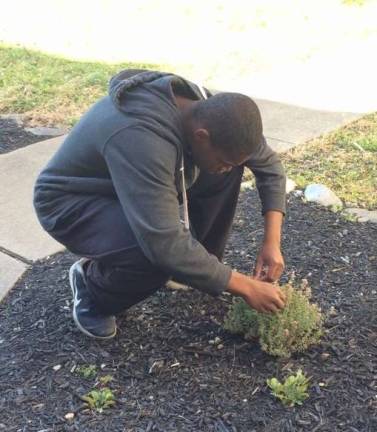 VTHS students create gardens