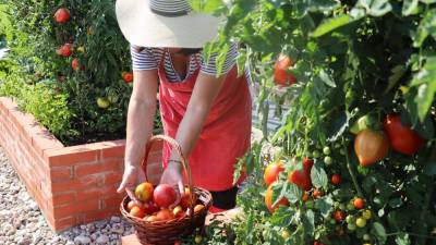 Enrollment now open for Rutgers Gardening Education Series