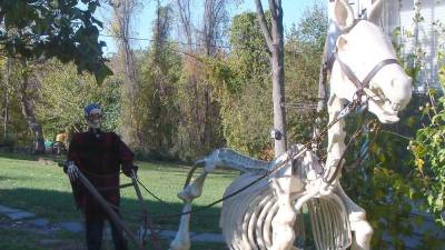 Halloween couldn't be better than a display at the Burgess-Ford home on Route 515. A skeleton farmer and a skeleton horse plow the lower 40. Last year, the Headless Horseman was on display. Marlene Burgess-Ford promises something even better for next year.
