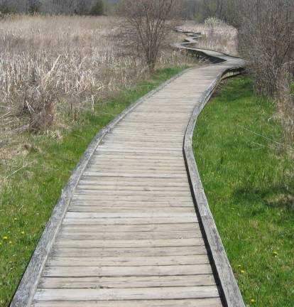 PHOTOS BY JANET REDYKE The &quot;Boardwalk&quot; Appalachian Trail in Vernon gets a spring time look on May 1.