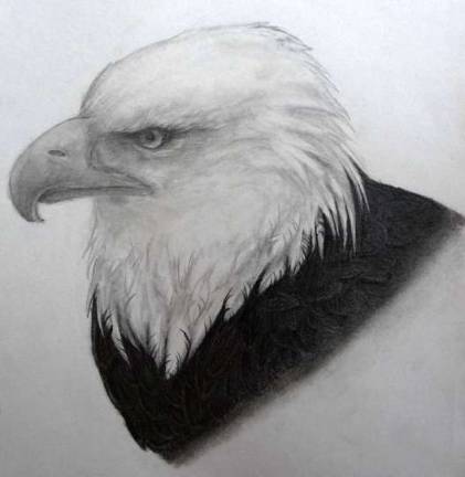 Glen Meadow students' work to be displayed Sketch by Kaitlyn Burke