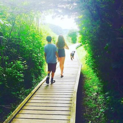 The boardwalk in Vernon, part of the Appalachian Trail and the Vernon Greenway (Photo provided)