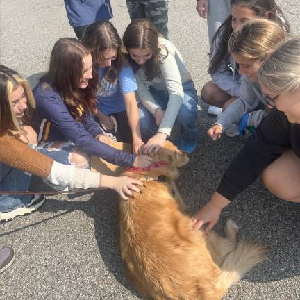 Vernon. Therapy dogs visit VTHS courtyard lunches Faith visit Vernon Township High School students.