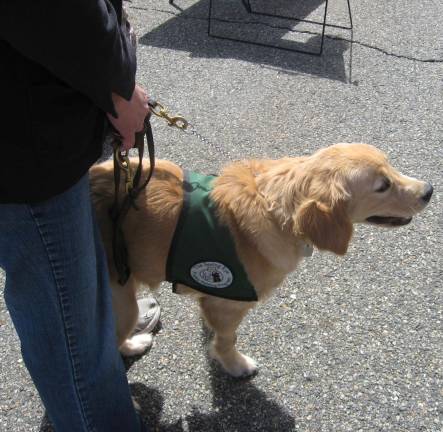 Xinga, the Seeing Eye puppy is a visitor magnet at the fair.